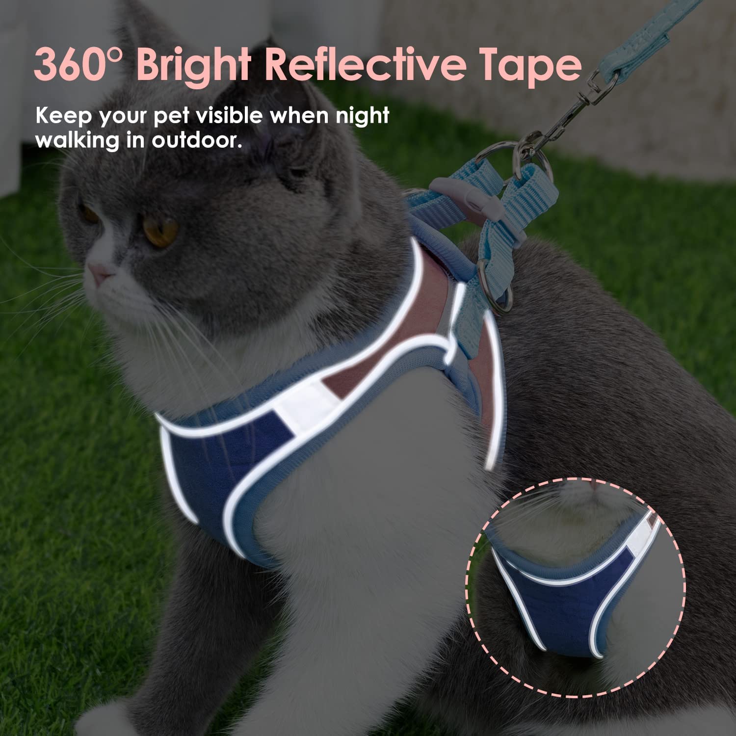 Qpets Cat Harness with Cat Leash for Walking, Adjustable Soft Sturdy Faux Suede Escape Proof Kitten Vest Harness and Leash with Reflective Strip for Large Medium Small Cat(Blue, Pink, M) Qpets Cat Harness with Cat Leash for Walking, Adjustable Soft Sturdy Faux Suede Escape Proof Kitten Vest Harness and Leash with Reflective Strip for Large Medium Small Cat(Blue, Pink, M)